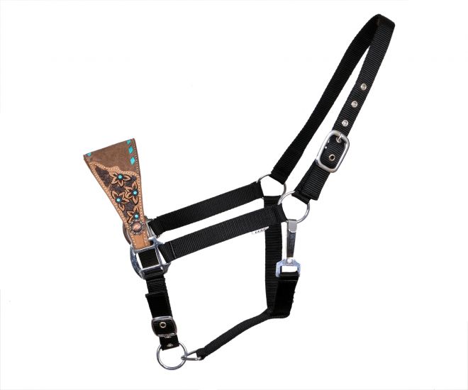 Showman Adjustable nylon bronc halter on medium leather with floral tooling and teal buck stitch